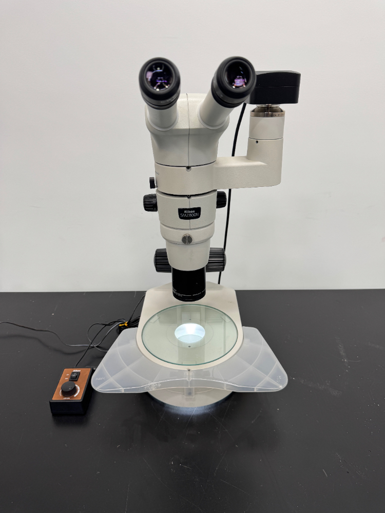 Image of Nikon SMZ800N Stereo Microscope